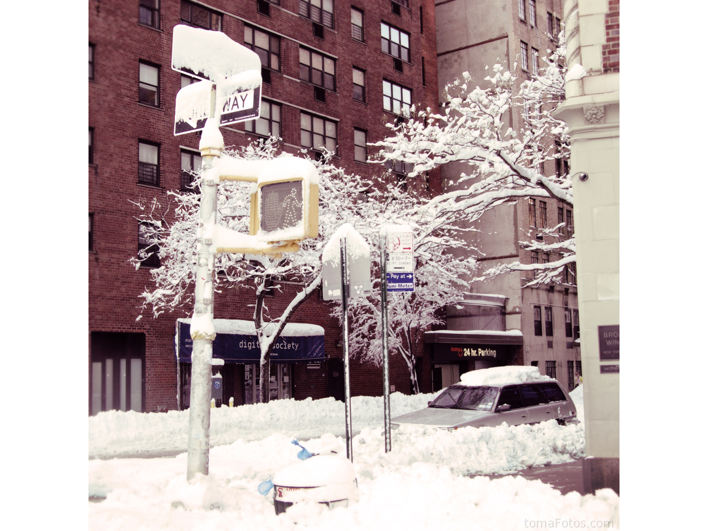 Aceras nevadas