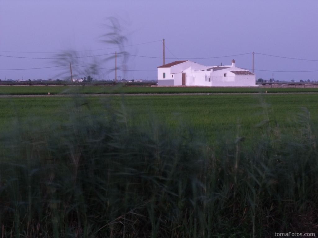 Casa blanca en los campos de arroz