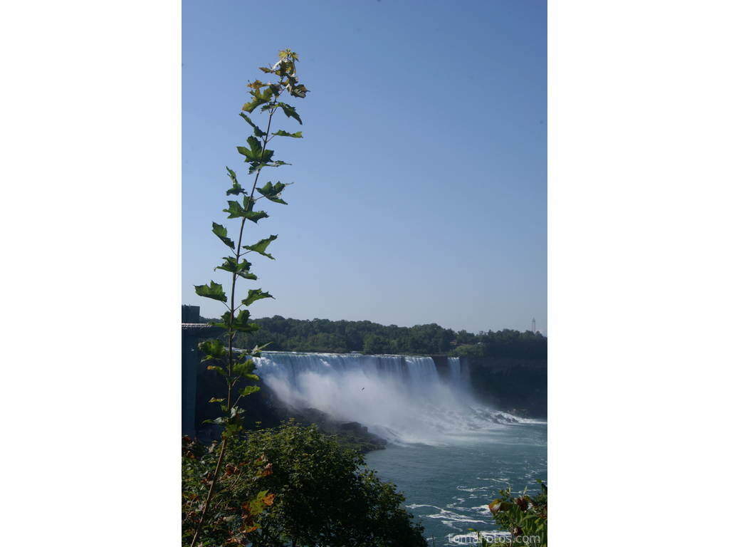 Cataratas del Niágara en segundo plano