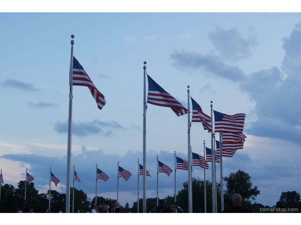  Grupo de banderas americanas 