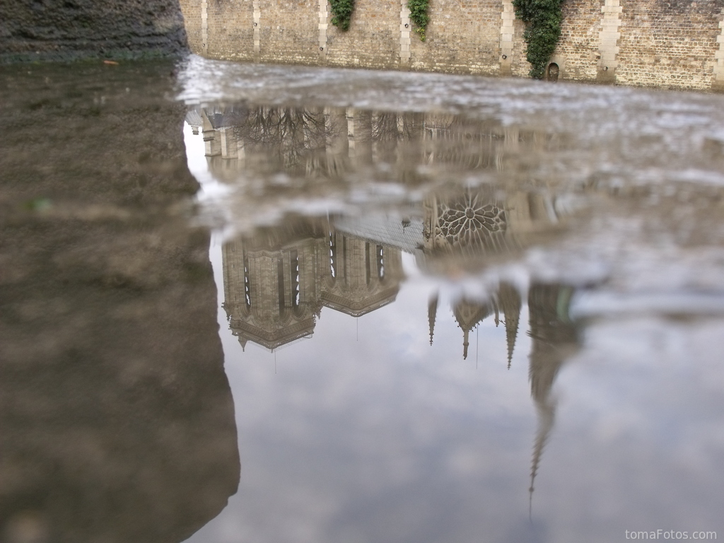 Notre-Dame de Paris reflejada en el agua