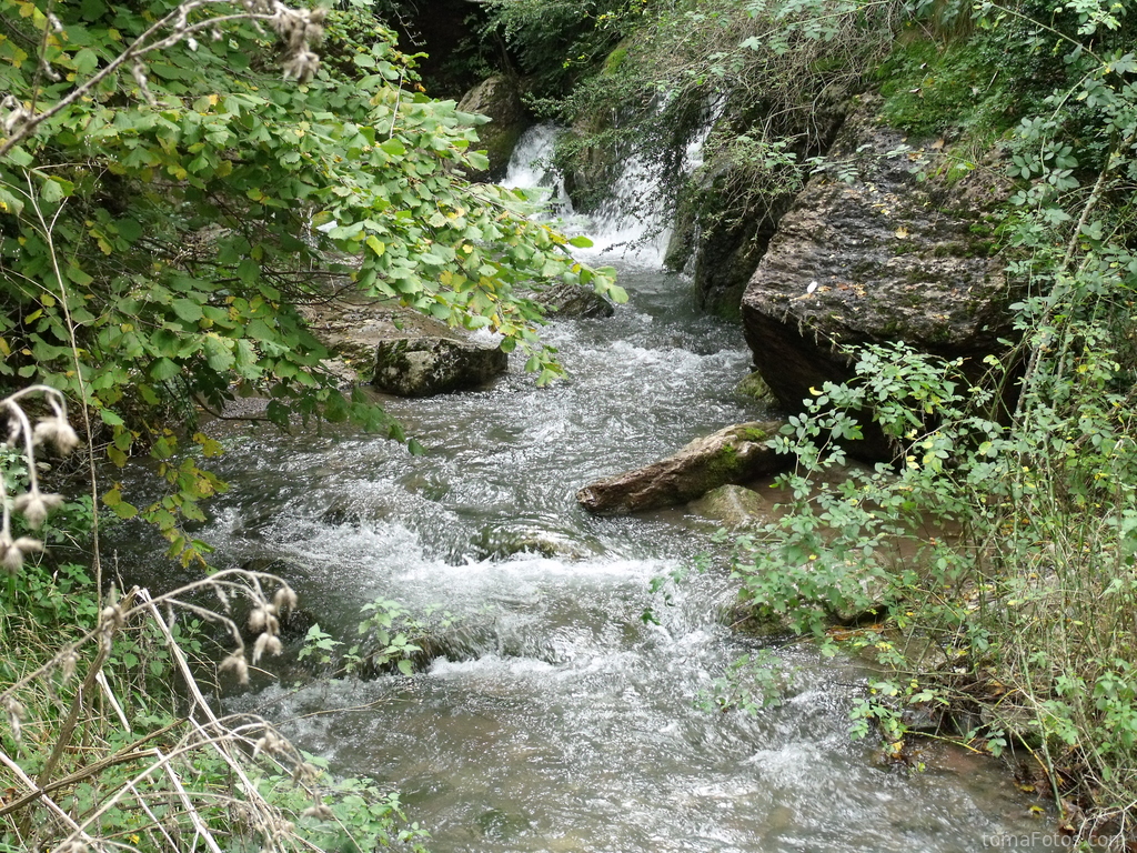 Riachuelo de montaña