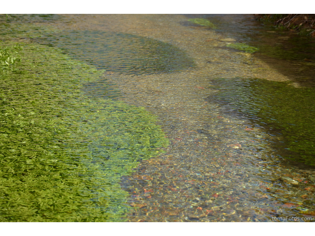 Río poco profundo