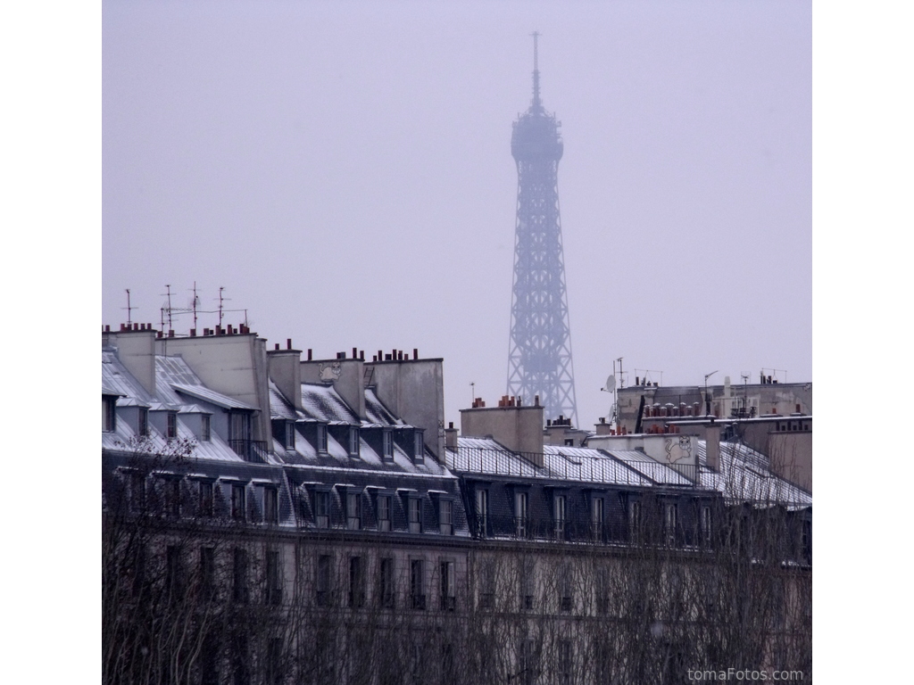 Tejados parisinos en un día frío